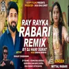 Ray Rayka Rabari (Remix)